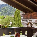 Aurikel Garmisch-Partenkirchen