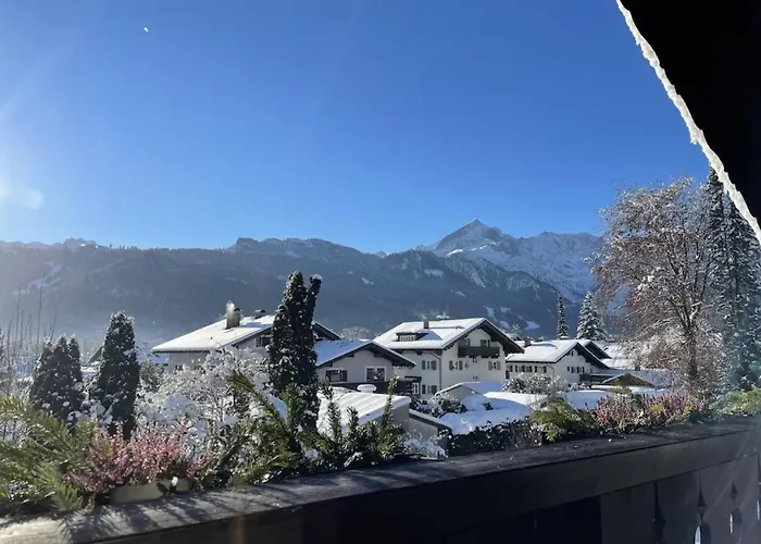 Aurikel * Garmisch-Partenkirchen