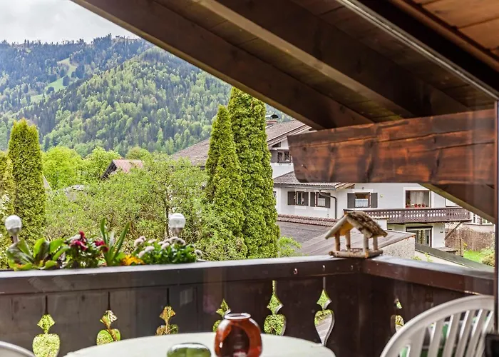 Aurikel Garmisch-Partenkirchen